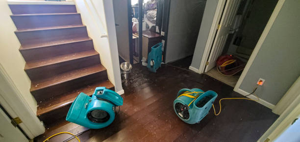 Best Sewage cleanup and water damage restoration  in East Griffin, GA