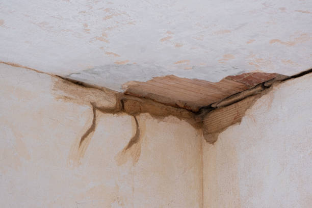 Best Professional water damage repair  in East Griffin, GA