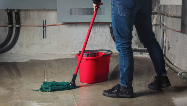 Best Ceiling water damage repair  in East Griffin, GA