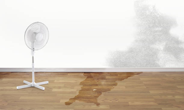 Best Flood restoration services  in East Griffin, GA