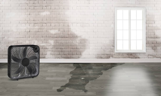 Best 24/7 water damage repair  in East Griffin, GA