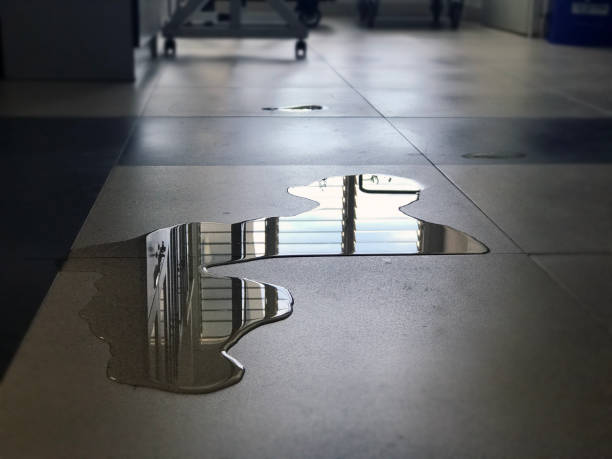 Best Commercial water damage restoration  in East Griffin, GA