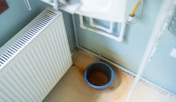 Best Mold removal after water damage  in East Griffin, GA