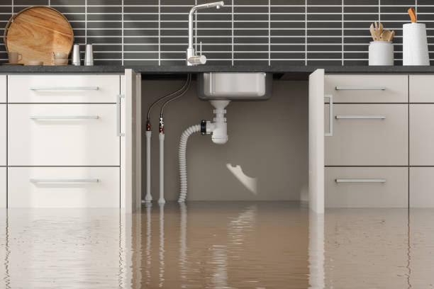 Best Water damage restoration experts  in East Griffin, GA