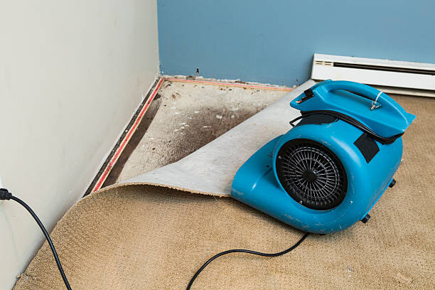 Best Water damage restoration insurance claims  in East Griffin, GA